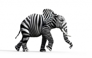 imágenes de una tienda online