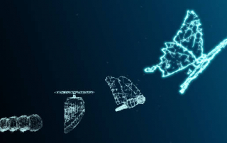 ¿Diseño web o desarrollo web?